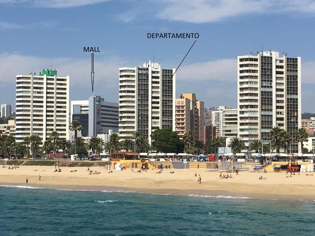 维纳德马Frente a Playa - 3 dorms, 2 baños, parking, WiFi, 2 cuadras MALLS的城市前方的海滩,有高楼