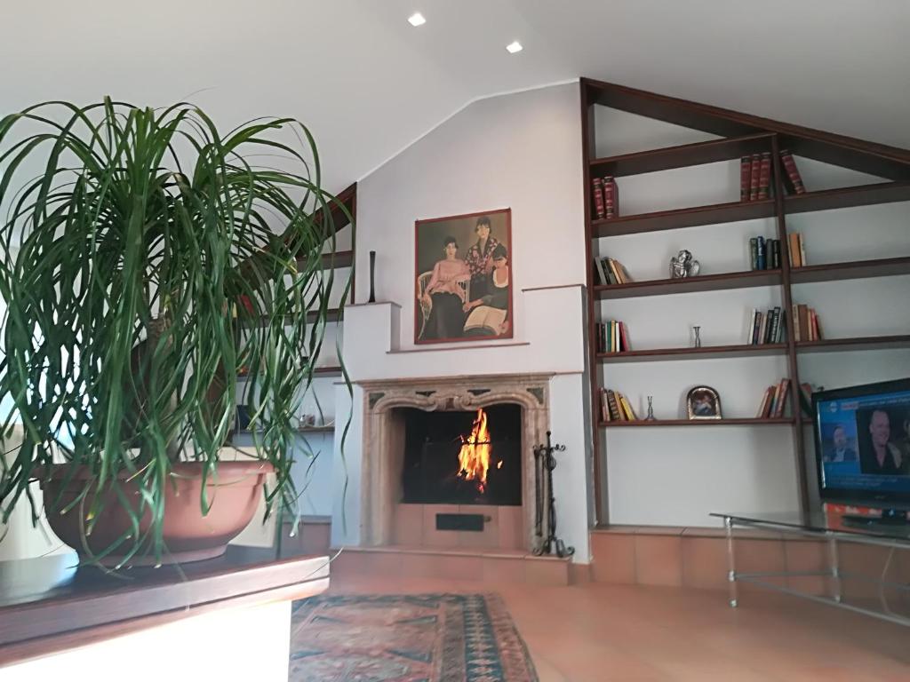 卡塞勒托瑞尼斯Le ginestre的客厅设有壁炉和电视。