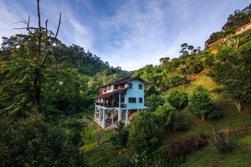 彭亨Rest Pause Rainforest Retreat的山中房屋的空中景观