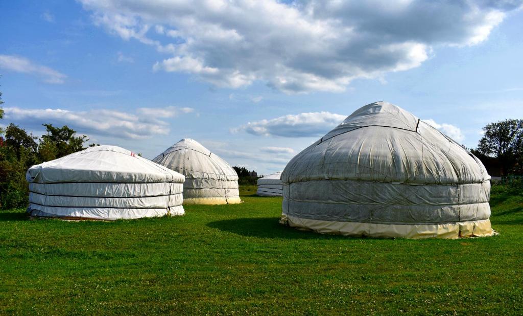 齐尔茨Bakonyi Camping的三个圆顶,坐在草地上