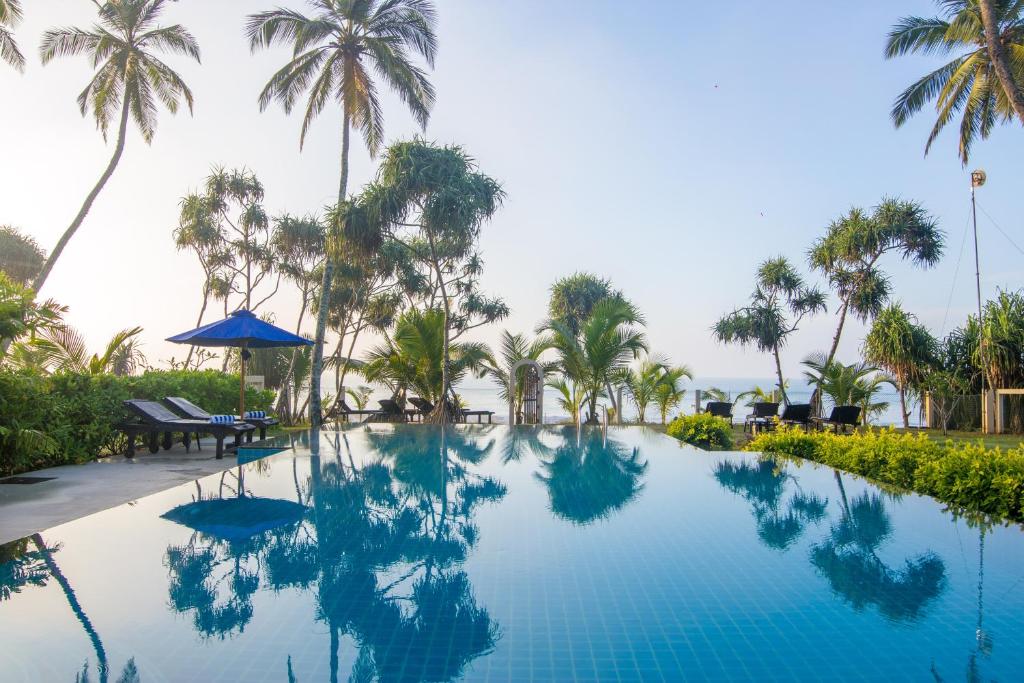 坦加拉兰卡海滩简易别墅酒店的棕榈树度假村的游泳池