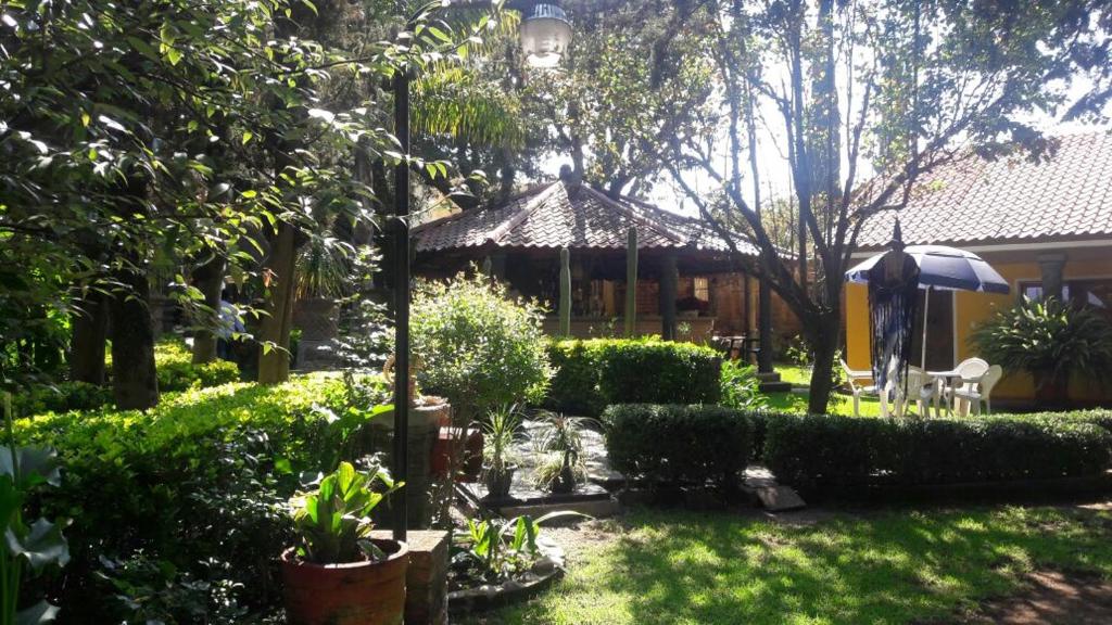 瓦斯卡坎波Hotel Huasca Terrazza的花园,带雨伞和灌木的房子