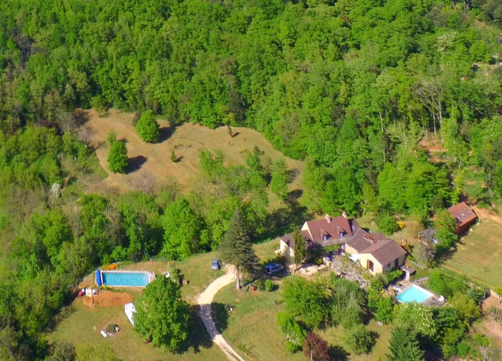 萨尔拉拉卡内达Domaine de la Queyrie的树林中房屋的空中景观