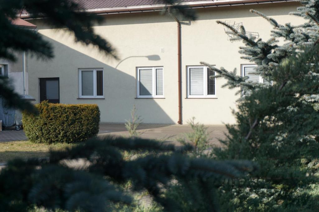 罗兹Kwatery pracownicze的前面有树木的白色建筑