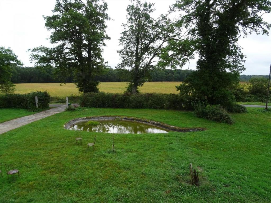 DhuizonGîte de La Ronce的田间中的小池塘