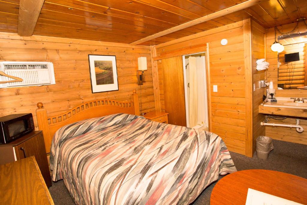 布法罗Z酒吧汽车旅馆的小屋内一间卧室配有床和水槽