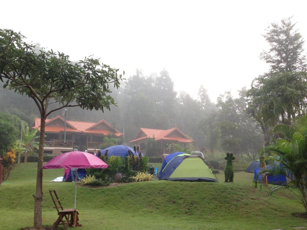 湄宏颂桑萨旺度假酒店的一群帐篷在雨中的一个田野里