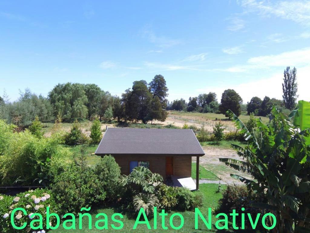 奇廉Cabañas Alto Nativo的田间中的小房子