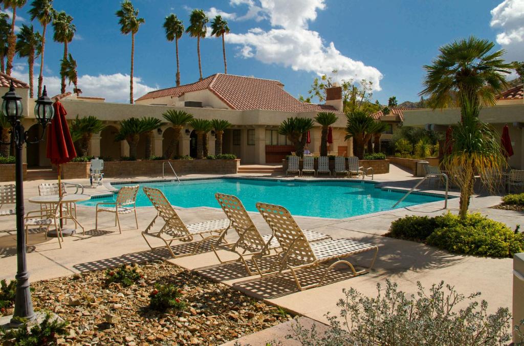 棕榈泉绿洲度假酒店的一个带椅子和桌子的游泳池,并种植了棕榈树