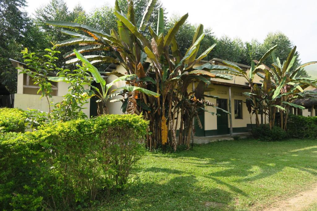 RuhangaUganda Lodge的院子里有棕榈树的房子