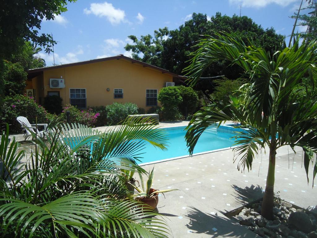 威廉斯塔德幸福之龟公寓的棕榈树屋前的游泳池