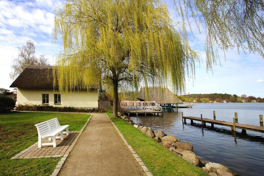 滨湖克拉科Ferienwohnung Krakow am See的坐在湖边树下的长凳