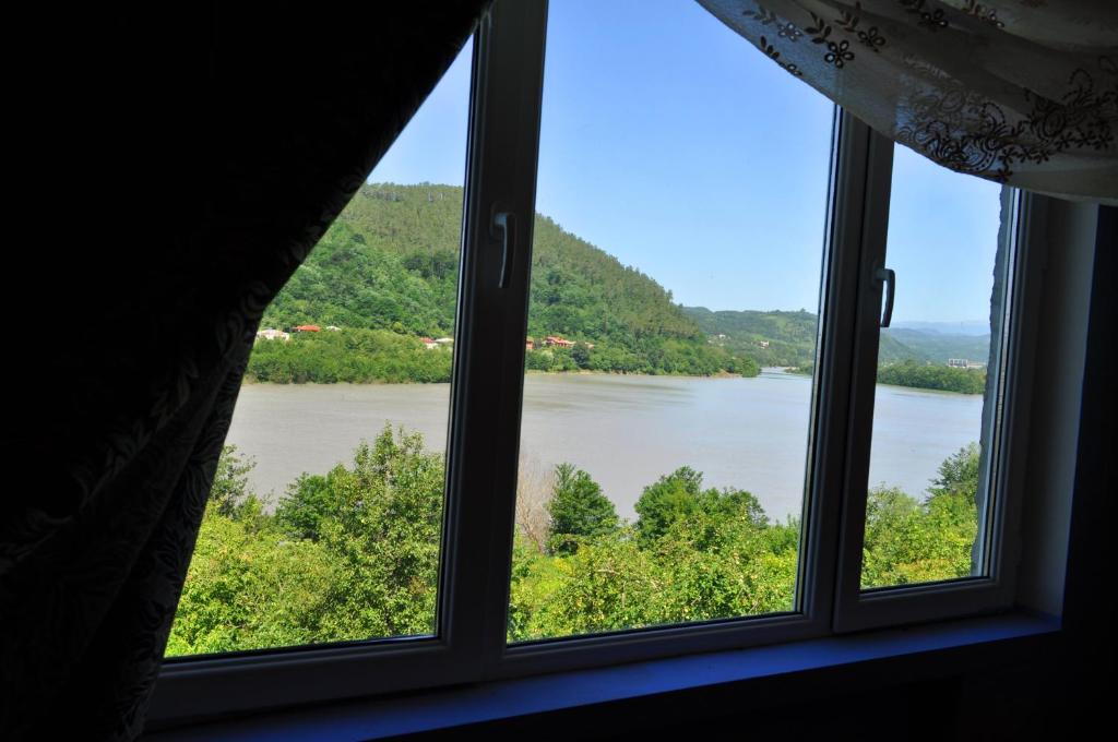 库塔伊西Nature House的从窗户可欣赏到河流美景