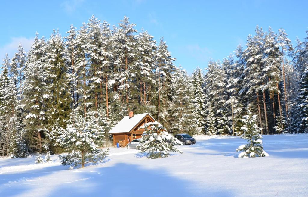 MägedeTõrvaaugu Holiday Homes的雪覆盖的森林中的小屋