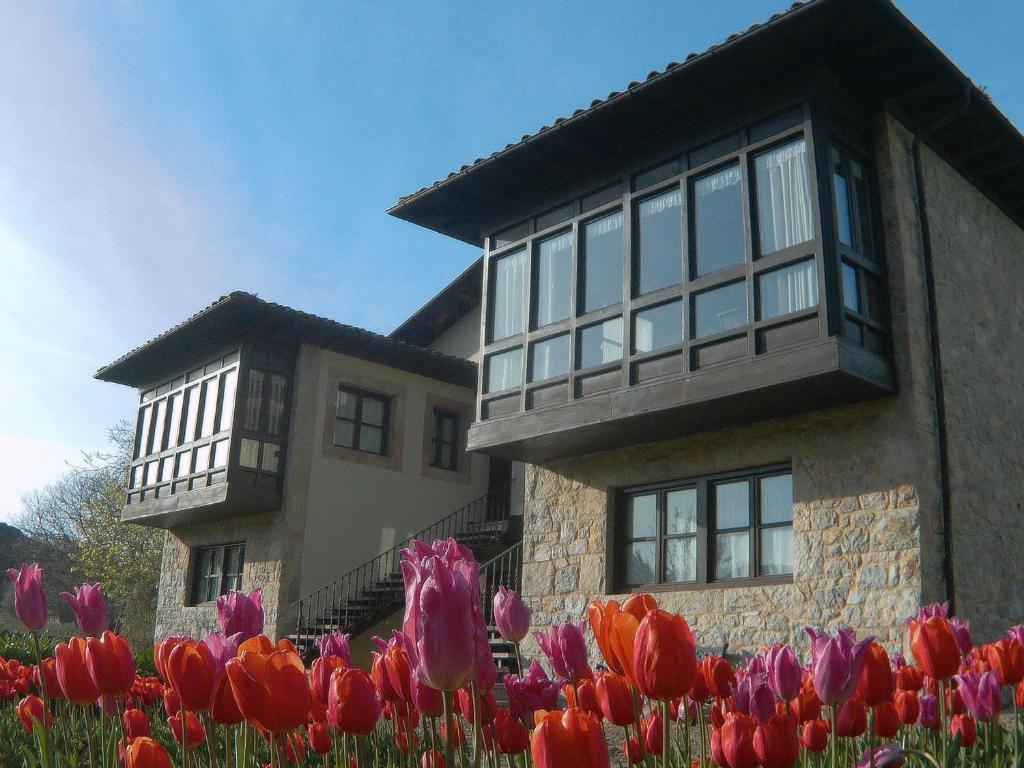 博迪利奈斯涅韦斯旅游公寓的前面有五颜六色的郁金香的房子