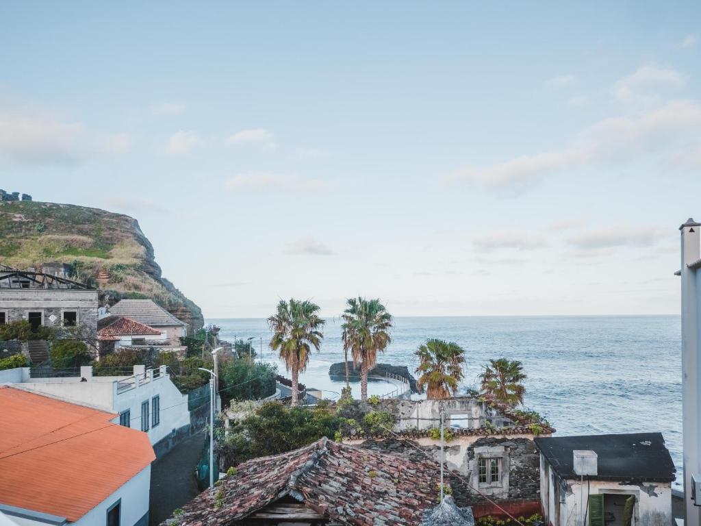 克鲁什港Nature Madeira Guest House的棕榈树和海洋的城市