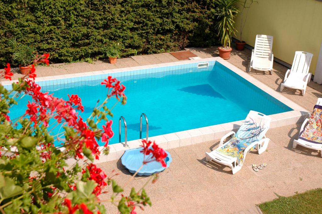 凯斯特海伊埃里卡膳食旅馆的一个带两把草坪椅的游泳池和一个游泳池