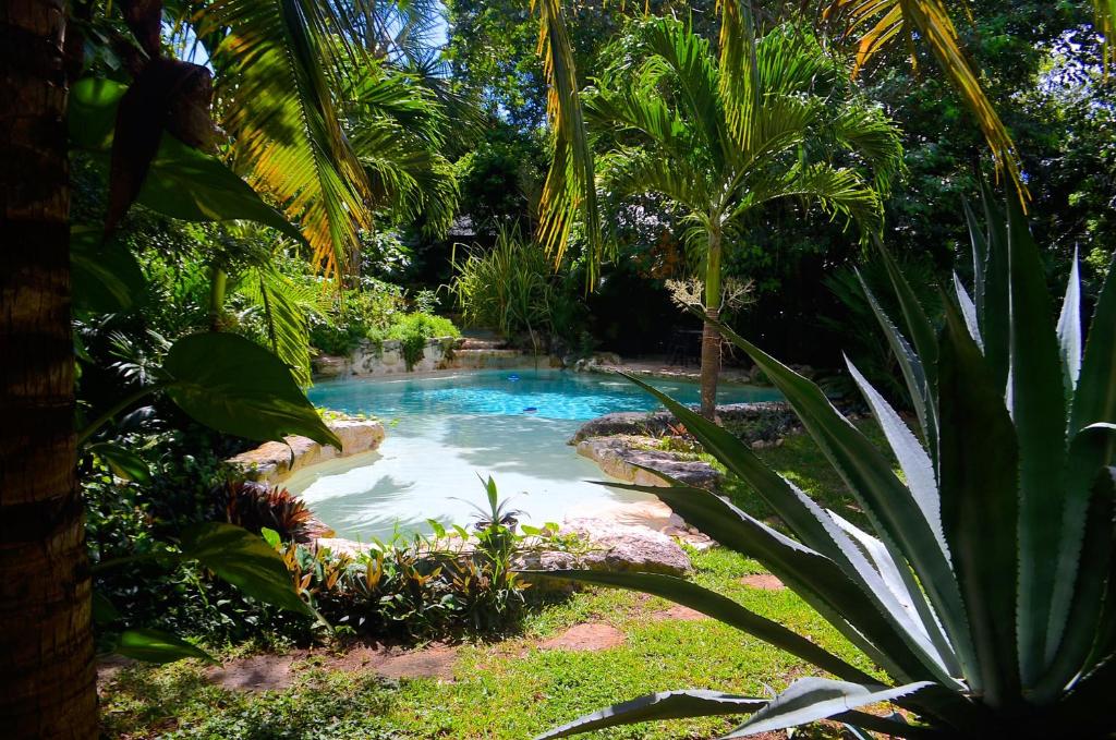 普拉亚卡门Hacienda Xcaret的棕榈树花园中间的游泳池