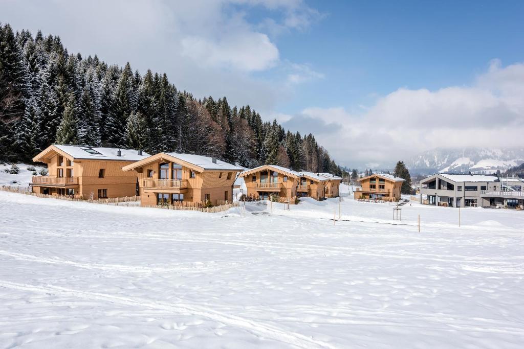 沙特瓦尔德LA SOA Chalets & Eventlodge的雪覆盖的田野中的一群房子