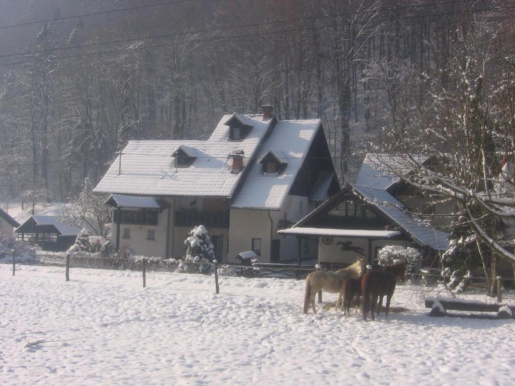 戈雷尼斯卡地区采尔克列古班尼克公寓的三匹马站在房子前面的雪地里
