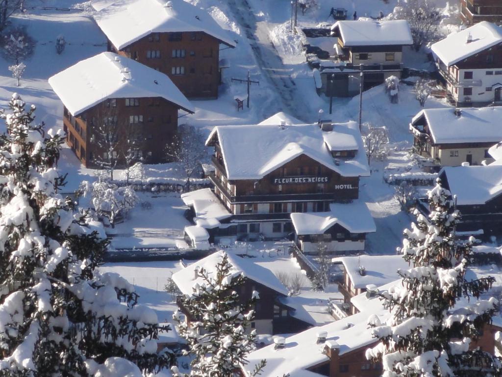 莫尔济讷雪之花酒店的一座被雪覆盖的城镇,有建筑