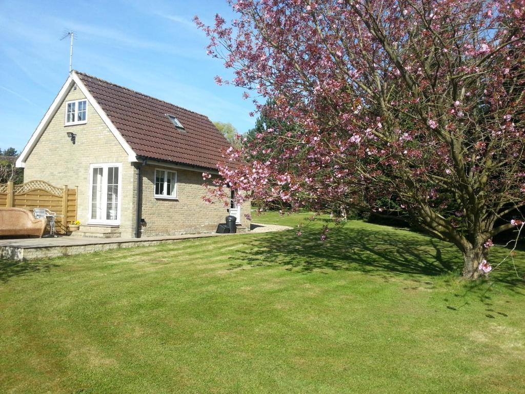 约克Waterside Cottage的院子里有花树的房子