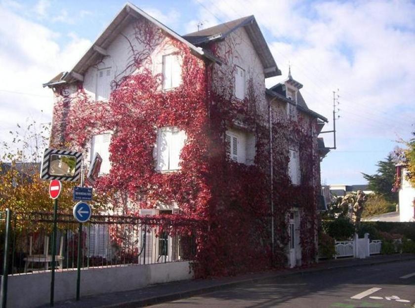 勒宝利古恩La Bergerie的街道旁一座被红常春藤覆盖的建筑