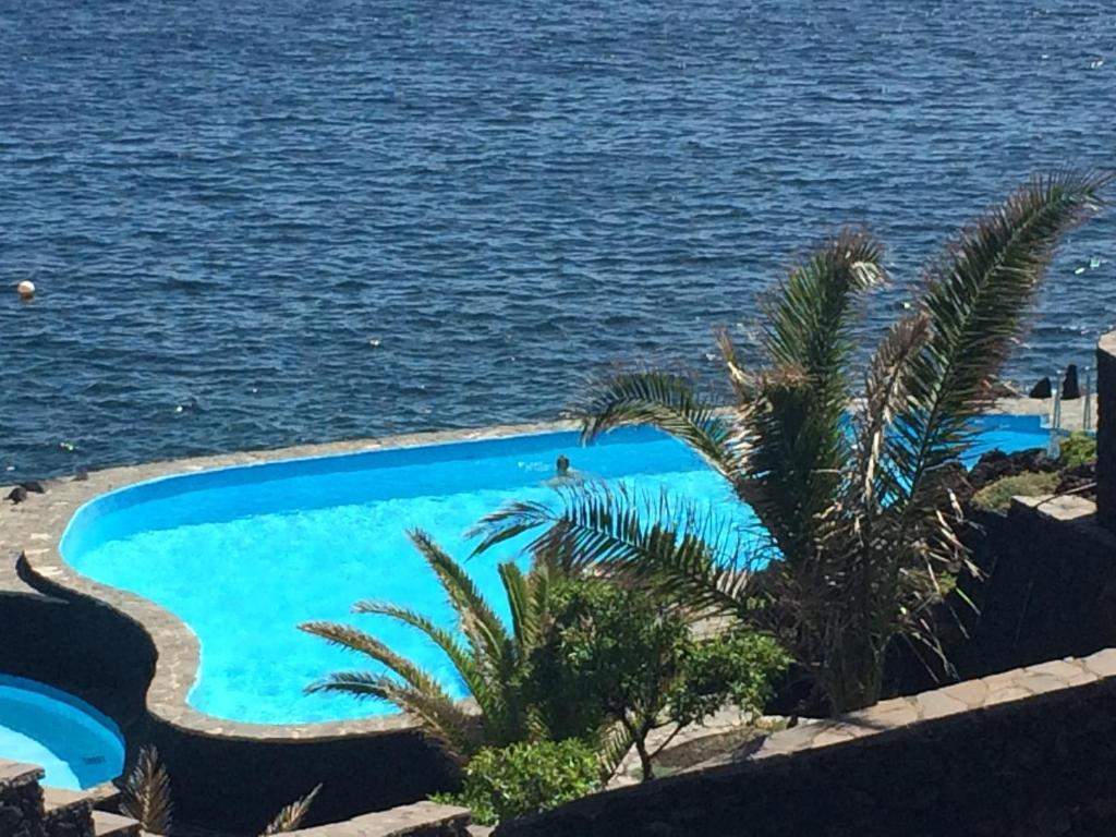 拉卡莱塔Salitre的水边的游泳池,棕榈树