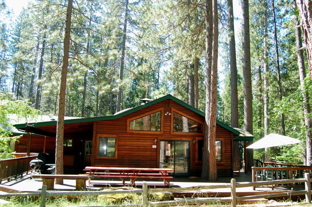 北瓦沃纳93R Deer Lodge的树林中的小木屋,配有长椅和桌子