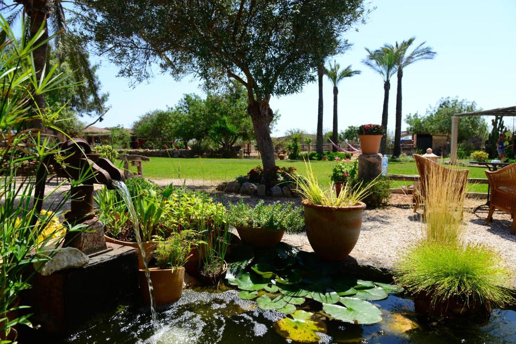 坎波斯桑特布莱农村节日庄园乡村民宿的花园,花园内有种有植物的池塘和喷泉