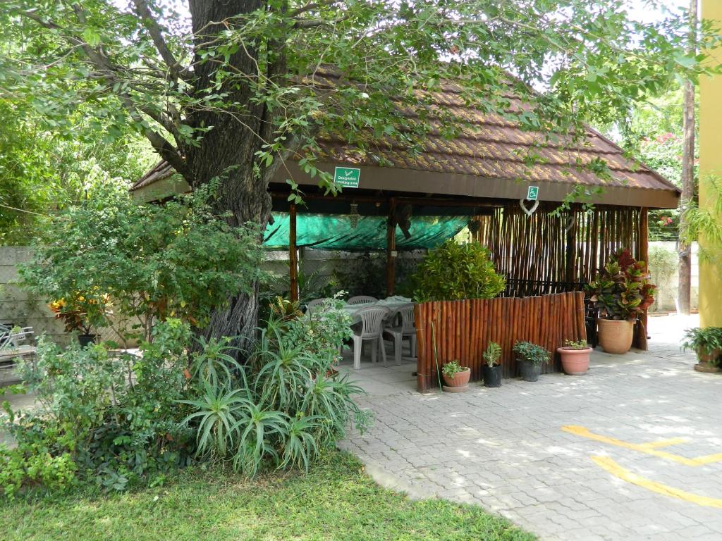 马翁Thamalakane guest house的花园内带桌椅的凉亭