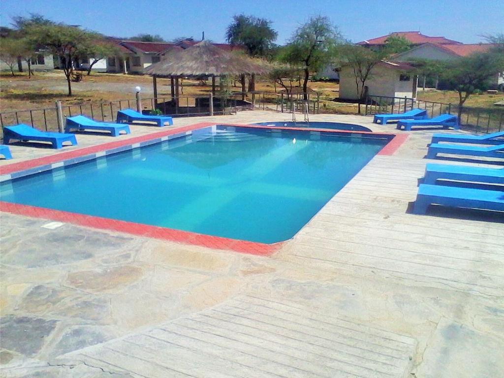 Ol KokweSandai Resort Lake Baringo的大型游泳池配有蓝色躺椅和四柱床