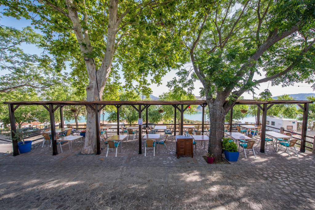 扎哈拉阿尔拉古酒店的树下设有桌椅的庭院