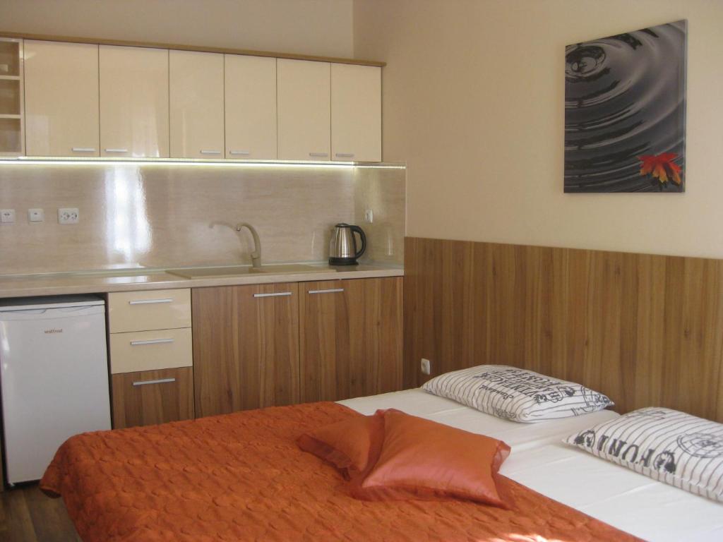 瓦尔纳Private Rooms Silvia的客房设有一张床和一个带水槽的厨房