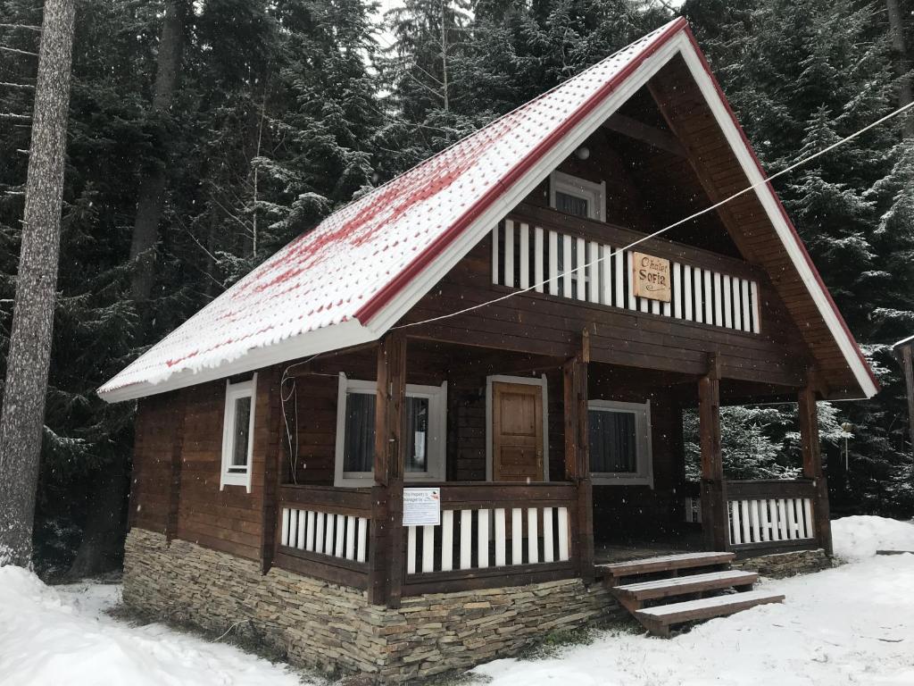 波罗维茨Chalet Sofia的屋顶上积雪的小木屋