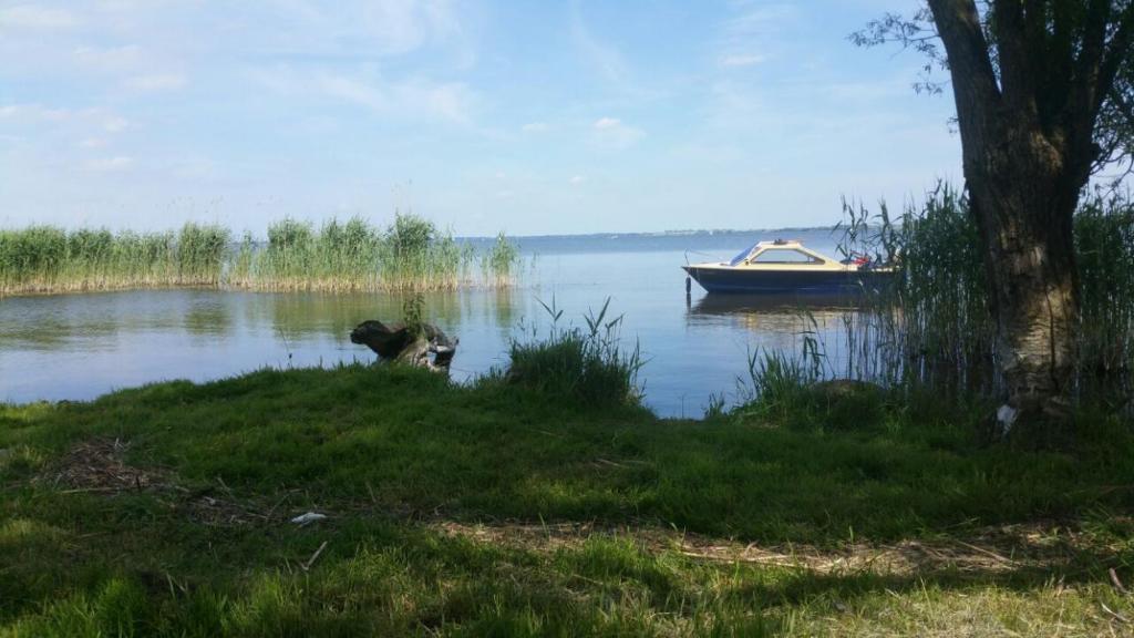 勒伯尔Ferienwohnung Röbel/Müritz的湖上的小船,水里养着狗