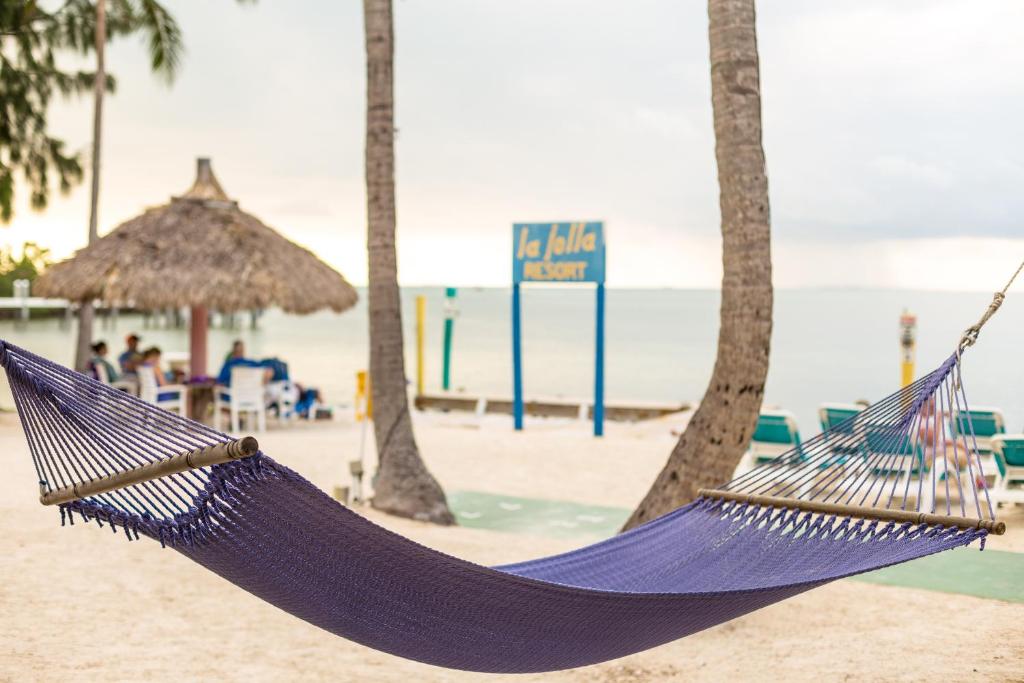 伊斯拉莫拉达La Jolla Resort的棕榈树海滩上的吊床