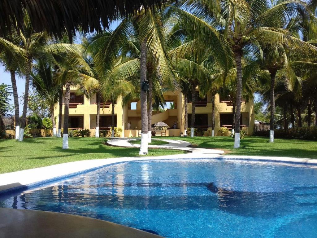 锡瓦塔塔内霍Hotel Bella vista的一座楼前棕榈树游泳池