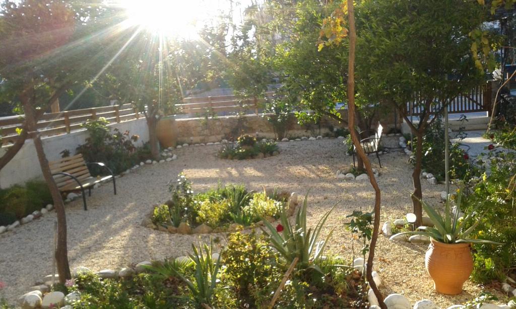帕琉乔拉Kampos Rooms的阳光下种有长椅和植物的花园