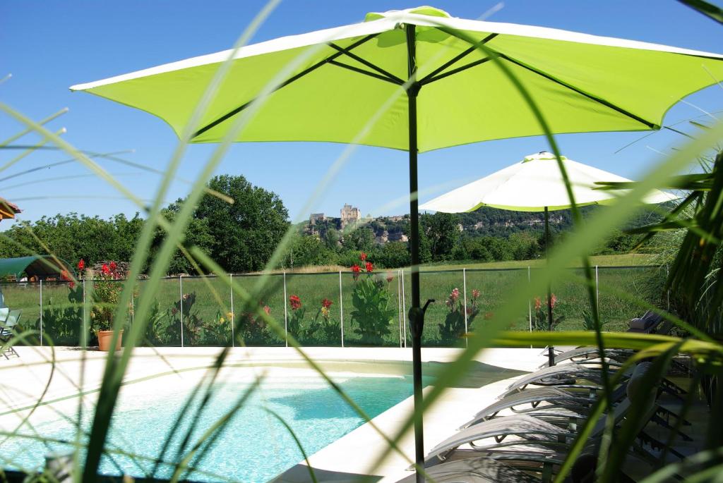 韦扎克chez gallon chambres d’hôtes的游泳池旁的绿色遮阳伞和游泳池