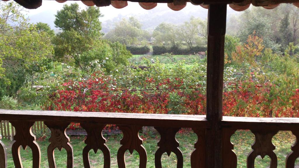 帕拉达德西尔雷托拉德钱德雷克萨乡村民宿的从鲜花盛开的花园窗户欣赏美景