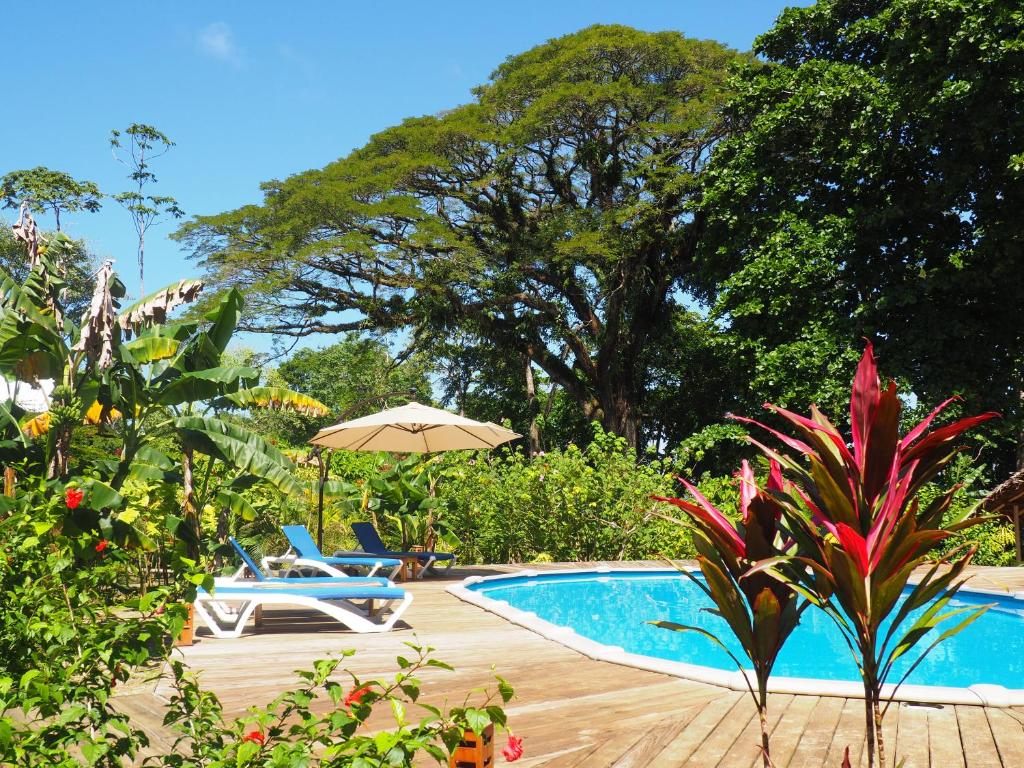 博卡斯德尔托罗蜂鸟住宿加早餐旅馆 的一个带两把椅子和遮阳伞的游泳池