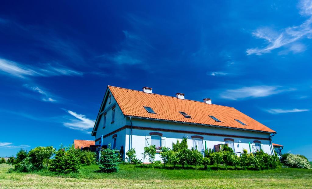 JezioranyFajne Miejsce的绿色田野上一座带橙色屋顶的房子