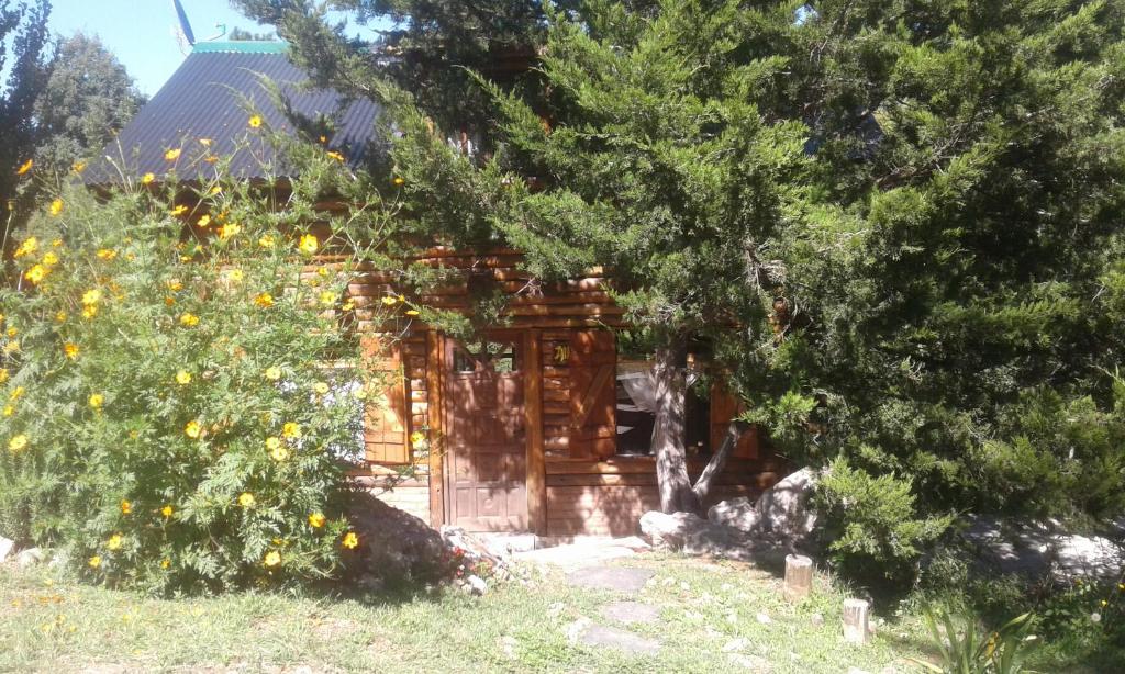贝尔格拉诺将军镇Cabaña Atha Iti的木舱,树上放着一束橘子