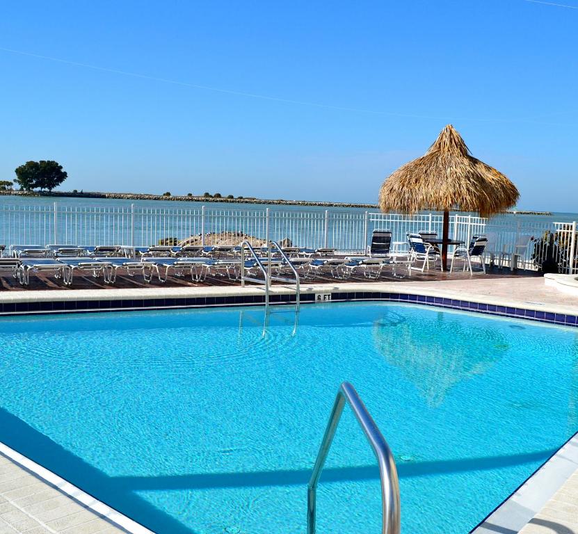 克利尔沃特峡湾美景酒店 - 海滩的一个带草伞和椅子的游泳池