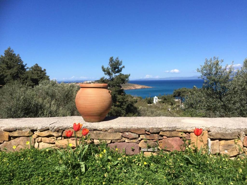 卡法斯Villa Spiti Elaionas的石墙顶上的花瓶