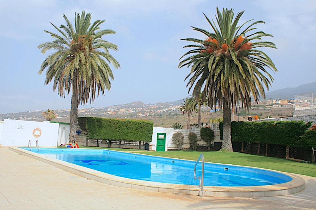 La Victoria de AcentejoPARAISO TRANQUILIDAD VISTAS MAR y TEIDE的游泳池旁有两棵棕榈树
