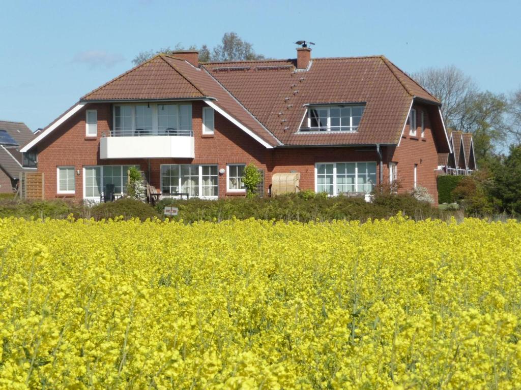 Neue Tiefe FehmarnNTBM36104-FeWo-Swalkennest的黄菜园的房屋
