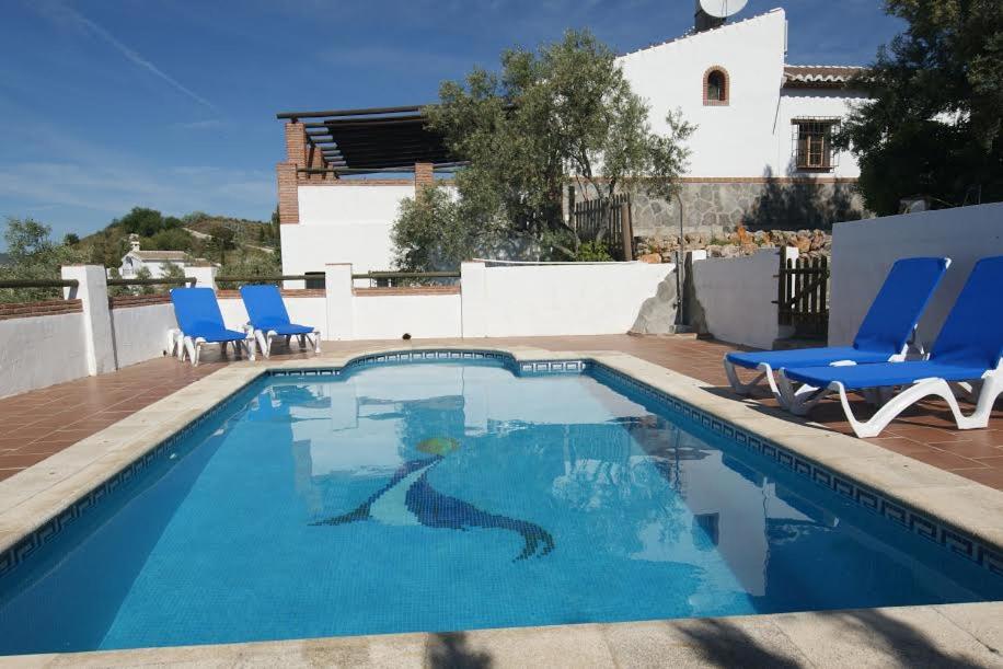 弗里希利亚纳Villa Godoy的一个带蓝色椅子的游泳池,上面画着鲨鱼