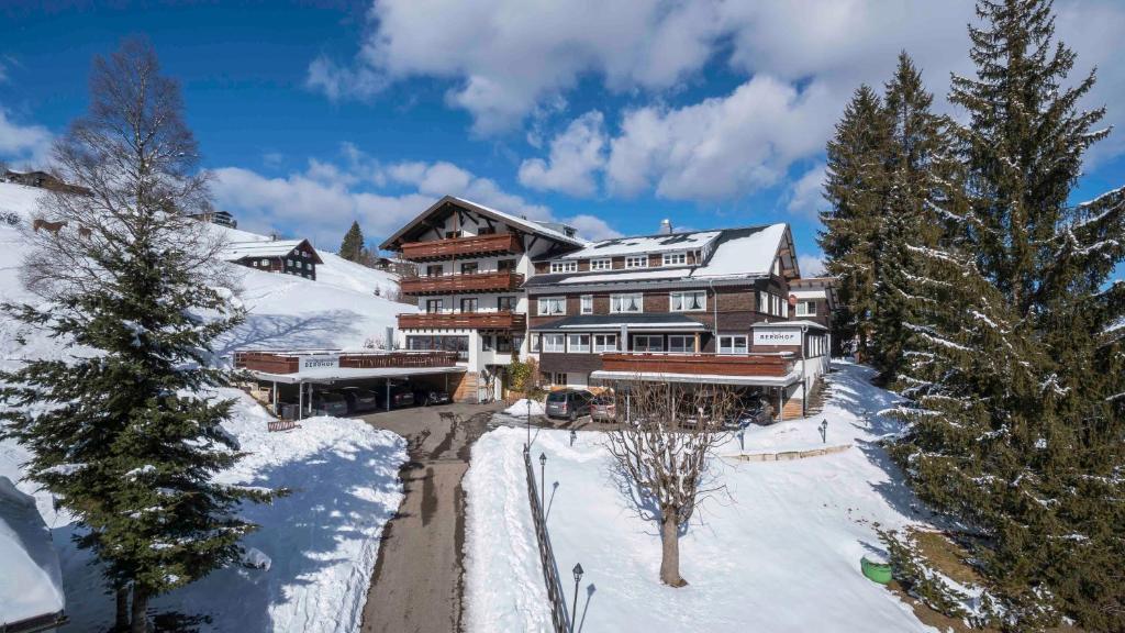 希洛谢克Der Berghof的雪上大房子,有雪覆盖的树木